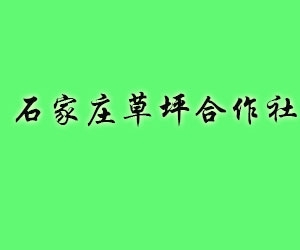 石家庄网站建设公司找哪家比较好